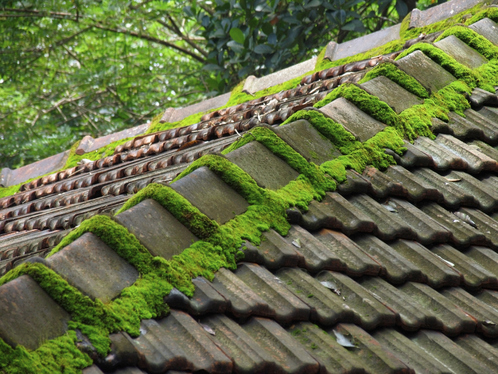 Démoussage de toiture à Glaignes