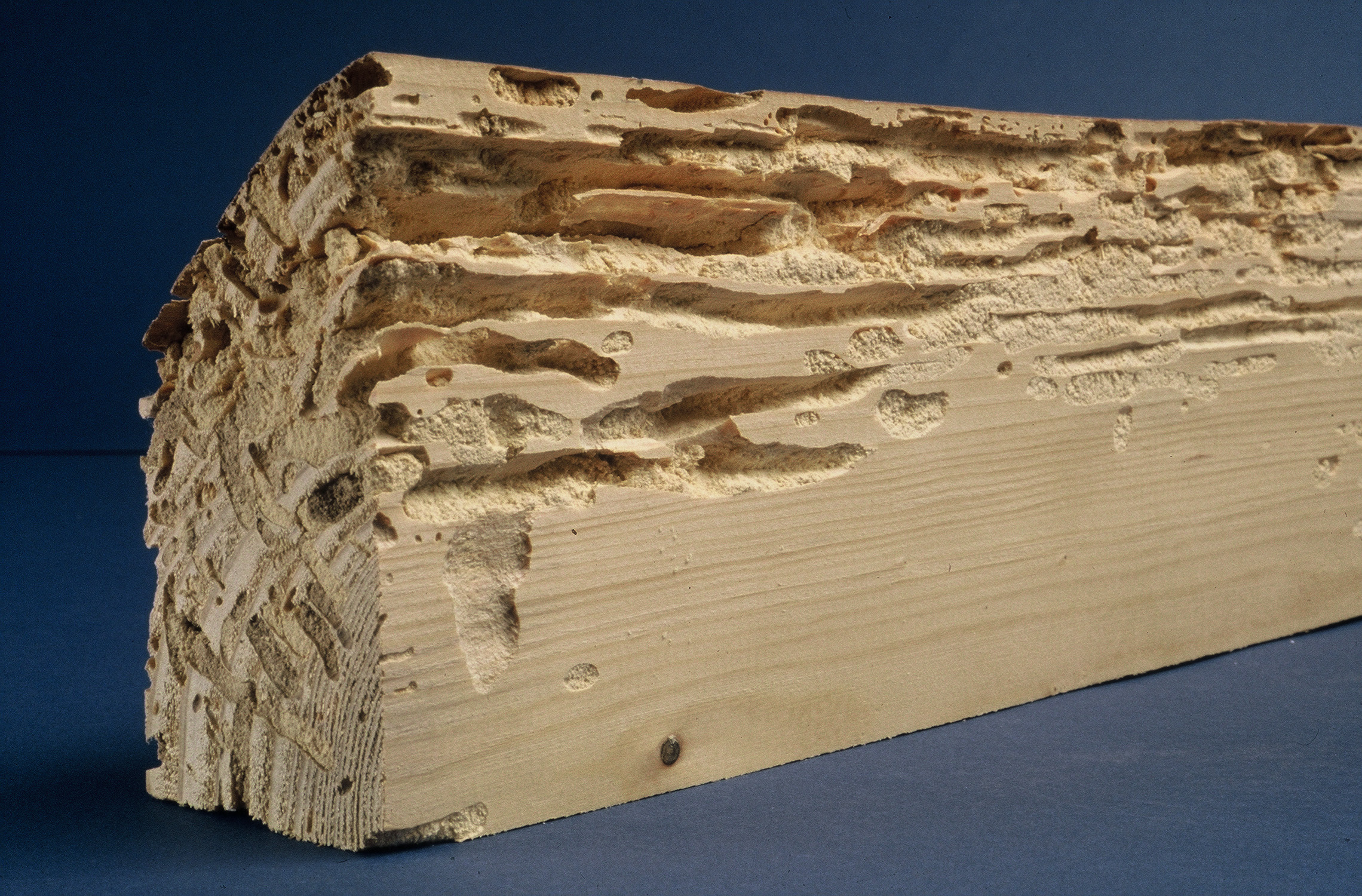 Traitement de charpente, bois à Beauvais